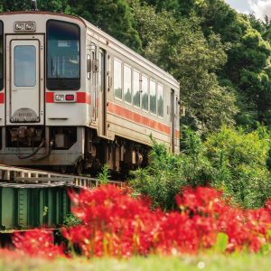 名松線の写真「川のほとりに咲く彼岸花」