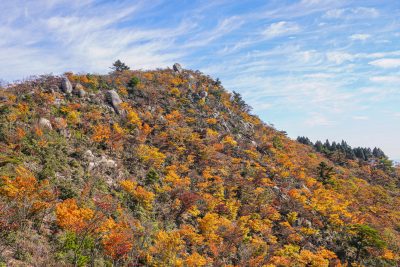 フリー写真素材「東峰の紅葉」