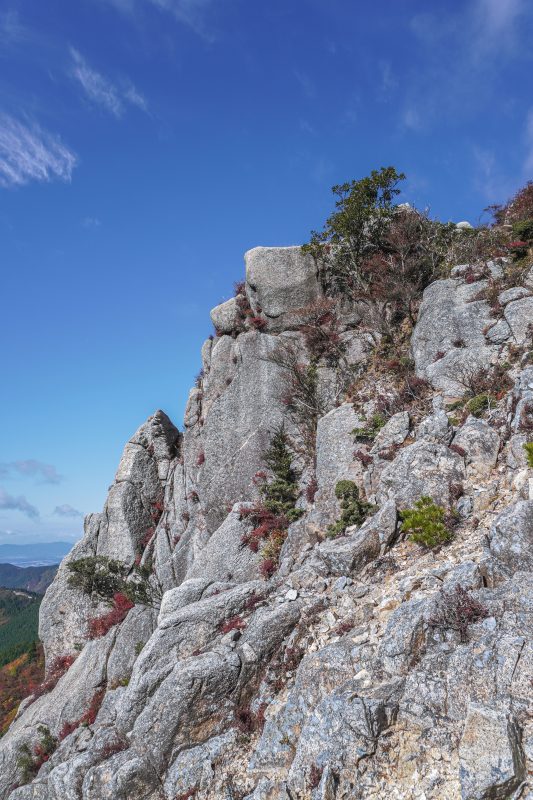 仙ヶ岳の写真「獅子岩」