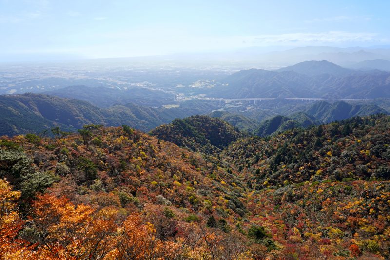 仙ヶ岳の写真「東峰から眺める紅葉」