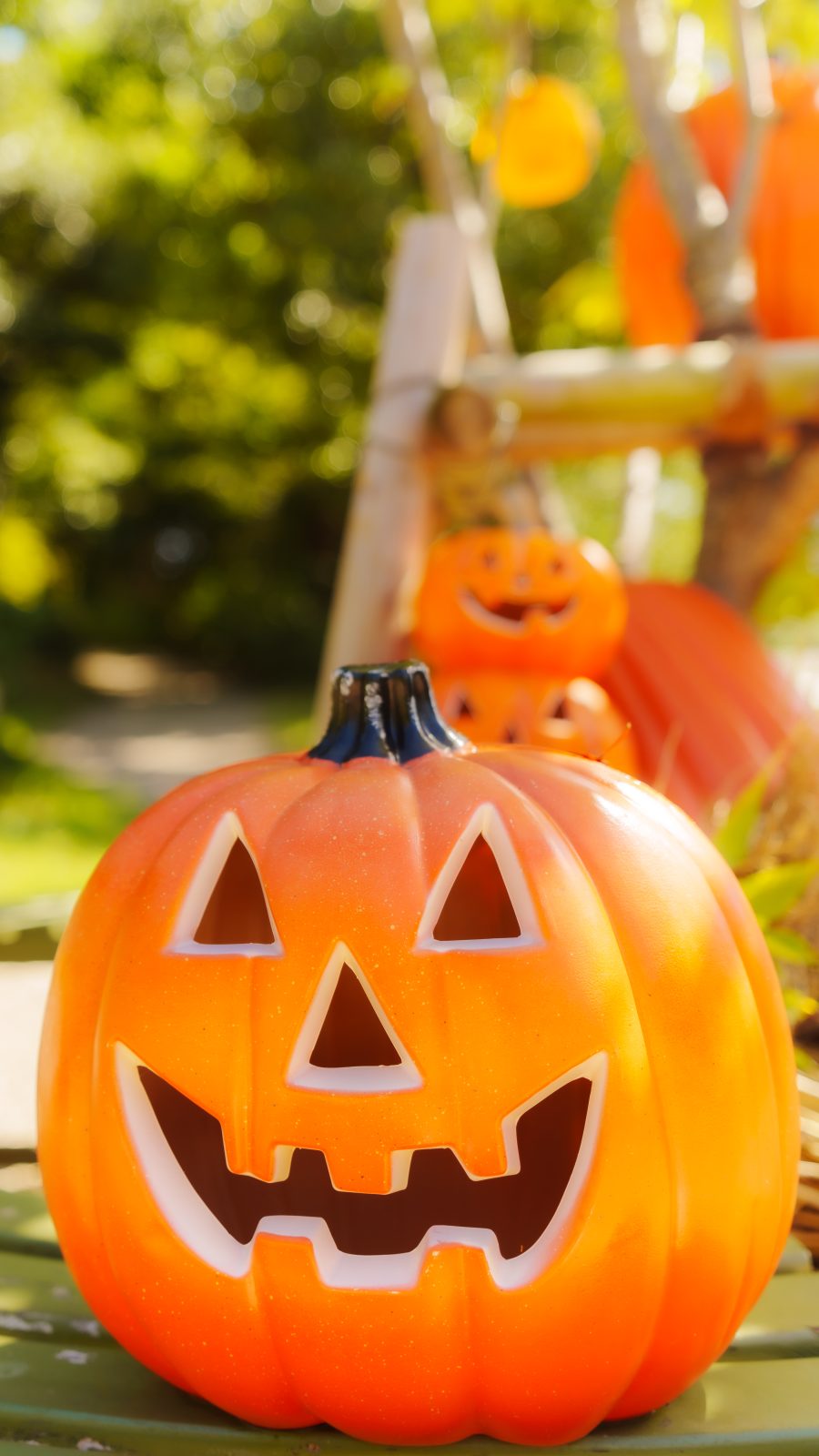 無料スマホ壁紙 大きくて立派なカボチャのおばけ。AndroidとiPhoneに対応した4K高画質の無料待ち受け画像。三重県津市のレッドヒルヒーサーの森で撮影したフリー写真素材