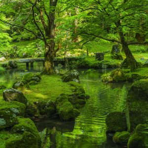 北畠神社の写真「新緑の絶景」