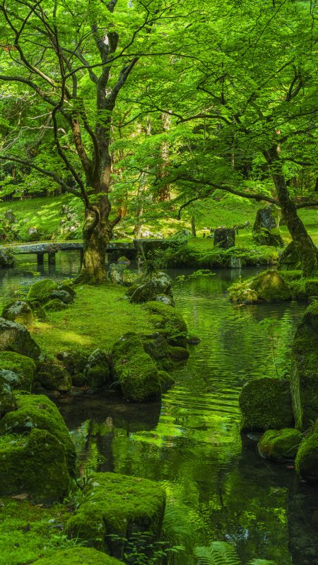 無料スマホ壁紙「新緑の絶景」