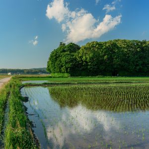 神社のそばを走るバイク