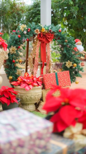 無料スマホ壁紙「メリークリスマス」