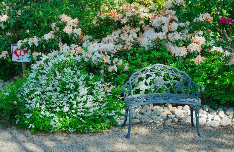 赤塚シャクナゲガーデンの写真「花とレトロなベンチ」