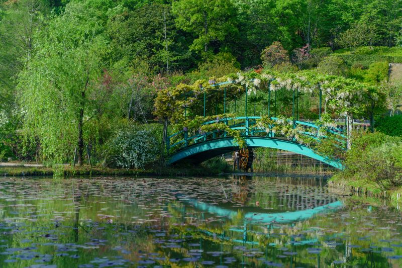 レッドヒルヒーサーの森の写真「オリーブ橋とスイレン池」