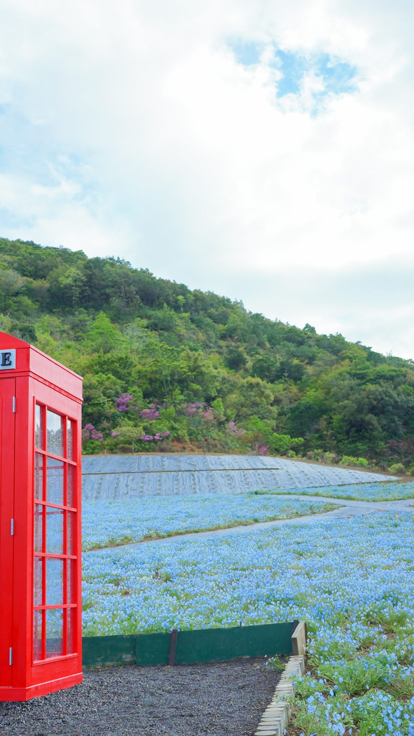 志摩市観光農園のフリー写真素材「もしもボックスみたいなフォト