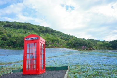 志摩市観光農園の写真「もしもボックスみたいなフォトスポット」