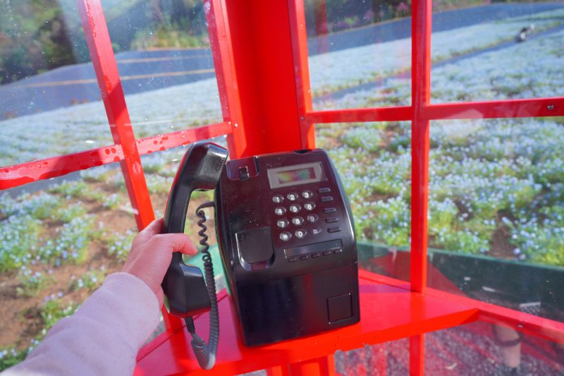 志摩市観光農園の写真「フォトスポットの受話器」