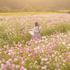 関町のコスモス畑の写真「畑の中央通路で人物撮影」