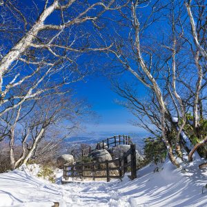 ようこそ冬の富士見岩展望台へ