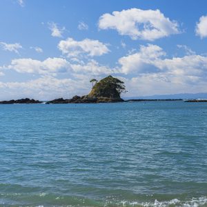 冬の海と雀島