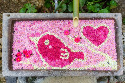 かざはやの里の写真「梅とメジロの花手水」