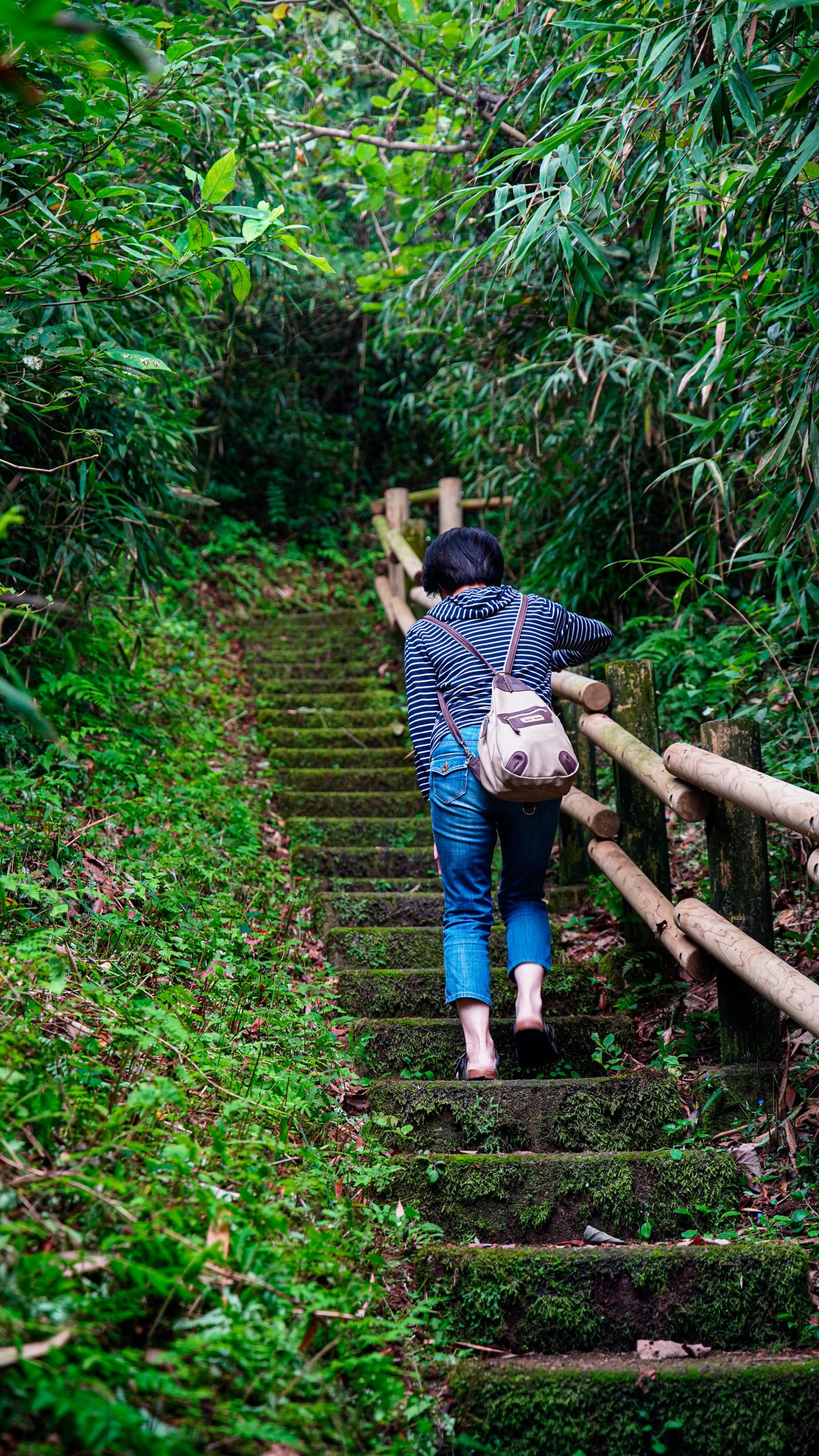 無料スマホ壁紙 山道。AndroidとiPhoneに対応した4K高画質の無料待ち受け画像。三重県鳥羽市の神島で撮影したフリー写真素材