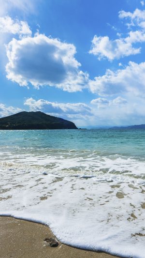 冬の御座白浜と波打ち際