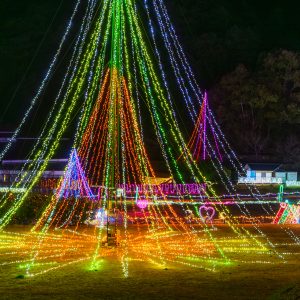 無料壁紙 20mのツリーと園内のイルミの光景。PCとデスクトップ壁紙に最適な4K高画質の無料壁紙。三重県紀宝町の光の祭典 in 紀宝で撮影したフリー写真素材