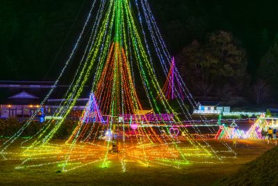 無料壁紙 20mのツリーと園内のイルミの光景。PCとデスクトップ壁紙に最適な4K高画質の無料壁紙。三重県紀宝町の光の祭典 in 紀宝で撮影したフリー写真素材