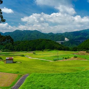 展望台からの眺め