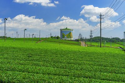 伊勢茶の写真「【亀山茶】名物の貯水タンク」