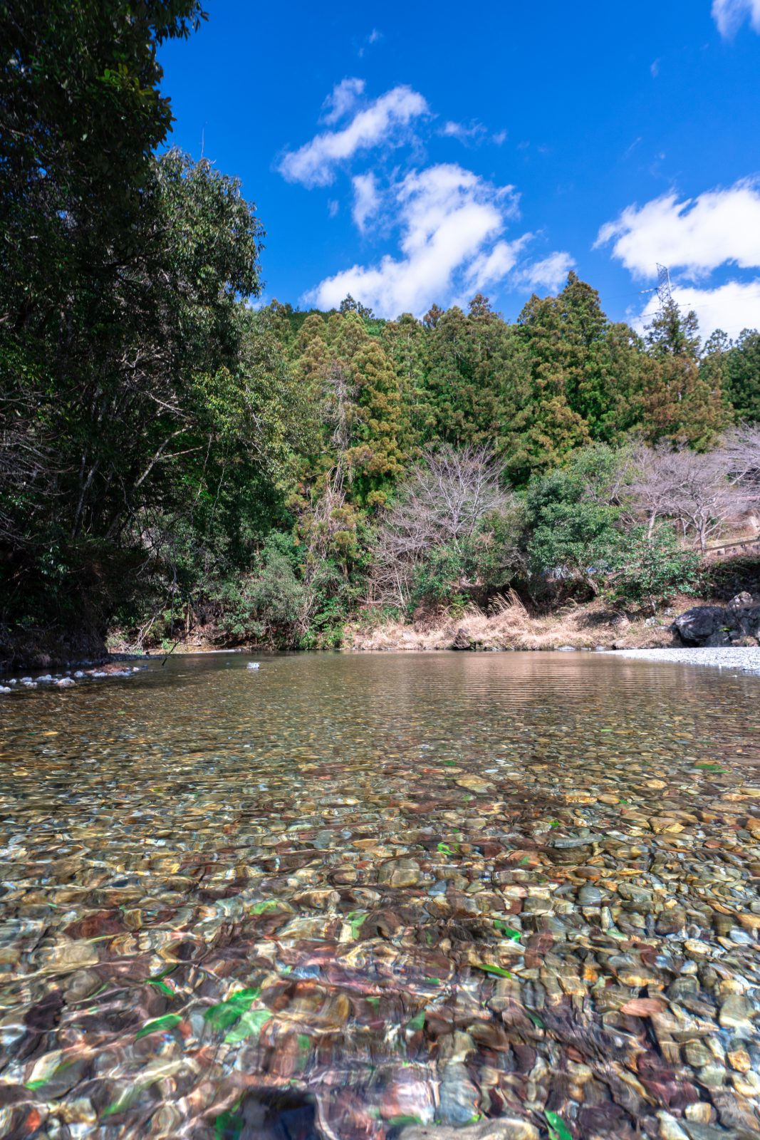 奥伊勢フォレストピアの写真「薗川（そのかわ）のせせらぎ」