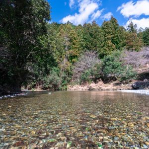 薗川（そのかわ）のせせらぎ