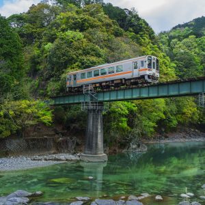 名松線の写真「新緑の伊勢鎌倉」