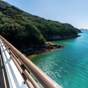 阿曽浦大橋からの眺め