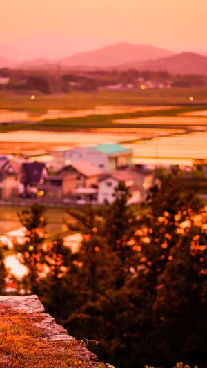 玉城の町並みを一望