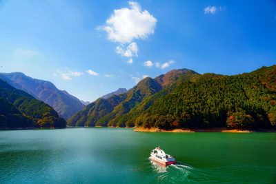 宮川ダム湖観光船の写真「進め！宮川ダム湖観光船」