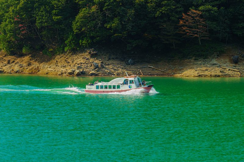 宮川ダム湖観光船の写真「宮川ダム湖を走る船」