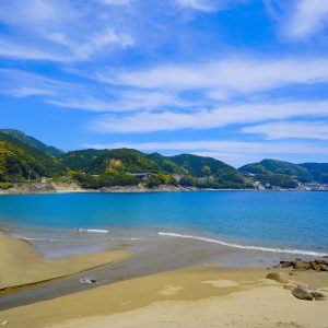 大泊海水浴場の全貌