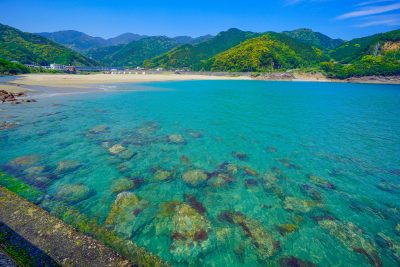 大泊海水浴場の写真「エメラルドグリーンの海」