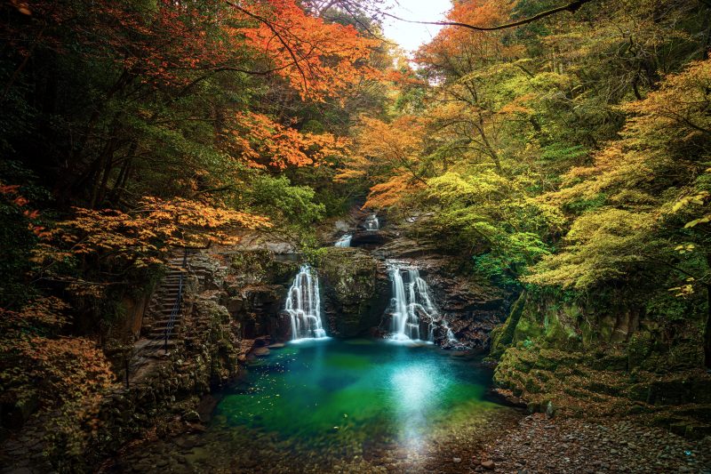 赤目四十八滝の写真「荷担滝の紅葉グラデーション」