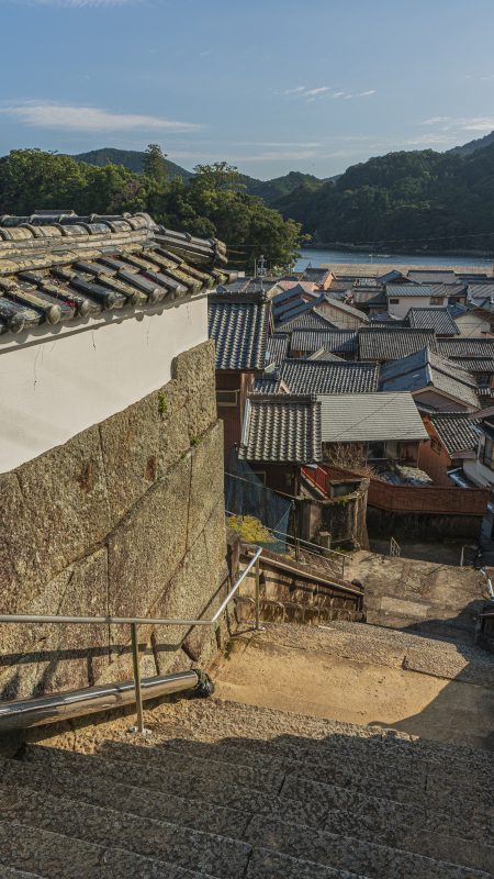 真巌寺の階段からの眺め