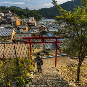 九鬼町の写真「若宮八幡神社参道からの眺め」