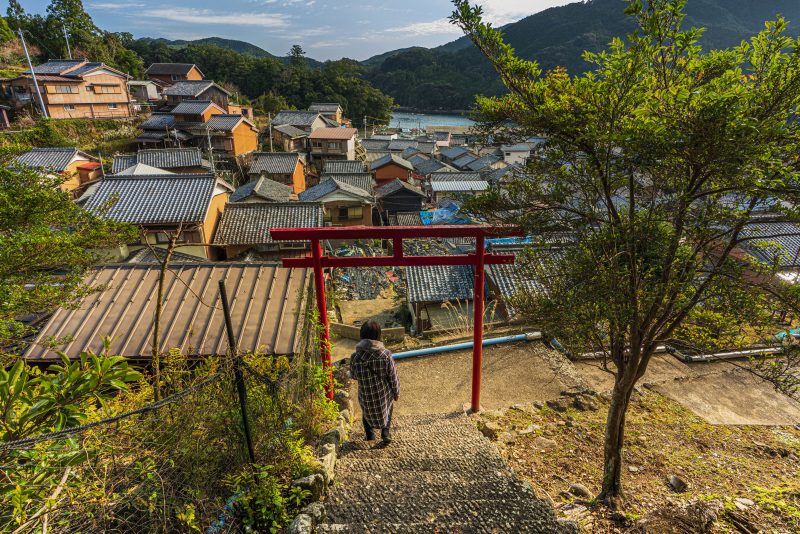 九鬼町の写真「若宮八幡神社参道からの眺め」