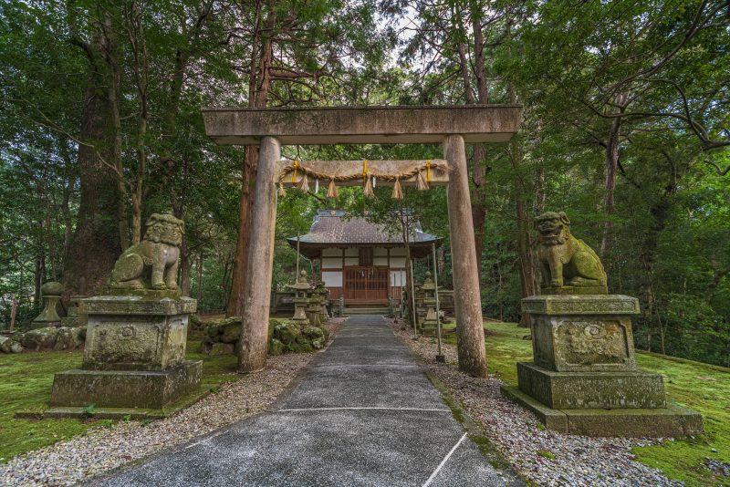 九鬼町の写真「九木神社の鳥居と狛犬」