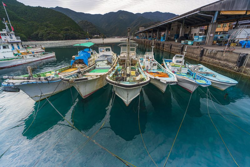 九鬼町の写真「九鬼漁港に停泊する船」