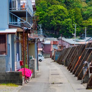 須賀利町の写真「堤防と町の通路」