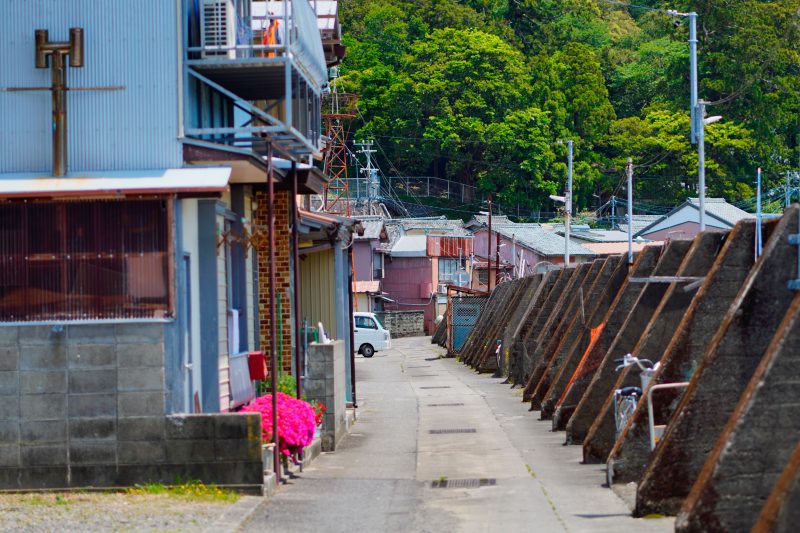 須賀利町の写真「堤防と町の通路」