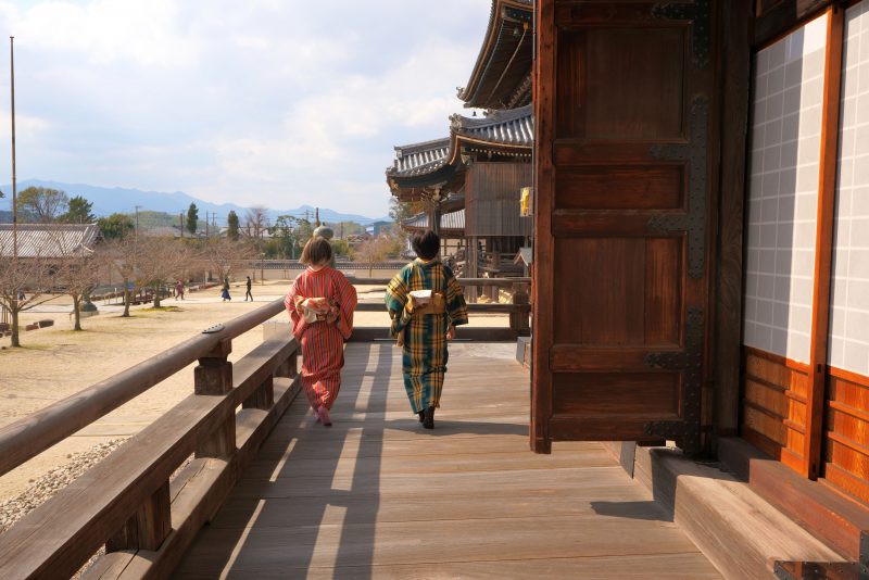 高田本山専修寺の写真「御影堂を歩く」