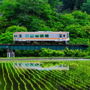 名松線の写真「家城の新緑リフレクション」
