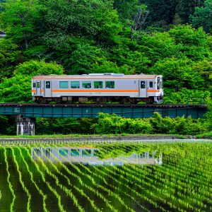 家城の新緑リフレクション