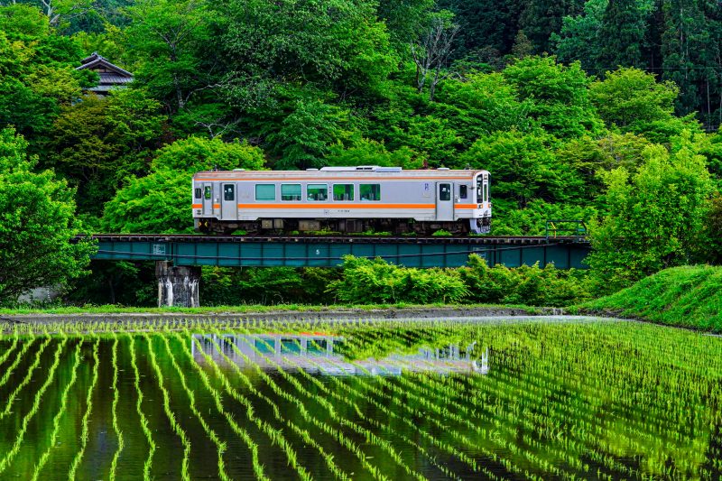 名松線の写真「家城の新緑リフレクション」