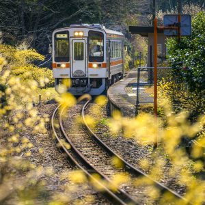 名松線の写真「ミツマタに囲まれる比津駅」