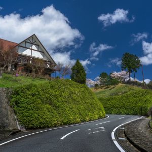 春の青空