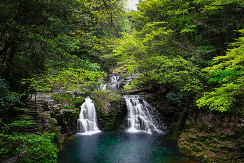 赤目四十八滝の写真「新緑の荷担滝」