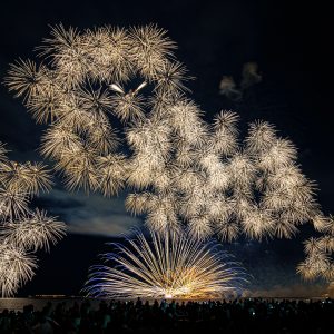 津花火大会の写真「夜空を舞う孔雀」