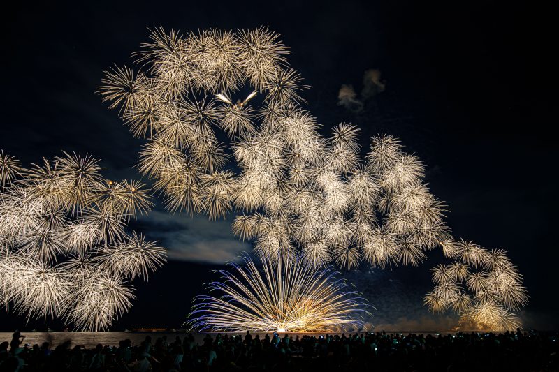 津花火大会の写真「夜空を舞う孔雀」